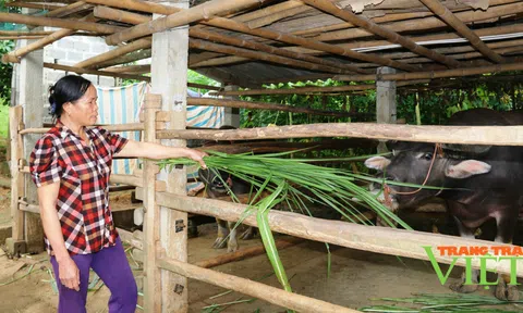 Nông dân là chủ thể phát triển kinh tế vùng Nông thôn Tây Bắc