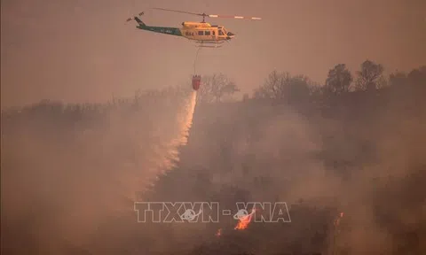 Nắng nóng gây cháy rừng ở nhiều nước châu Âu
