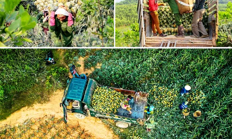 Tác động xã hội do CSIP tạo ra