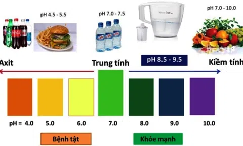 Tìm hiểu về vai trò PH trong cơ thể người