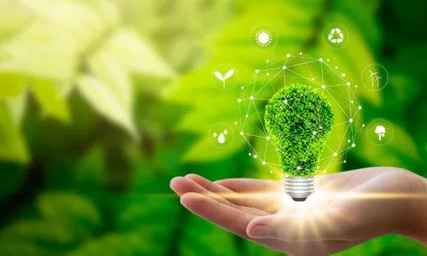 Kinh tế Xanh và Bản chất nền kinh tế Xanh - Green Economics