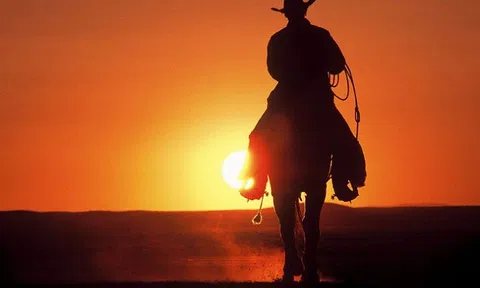 Hãy mạnh mẽ cả khi muốn bỏ cuộc