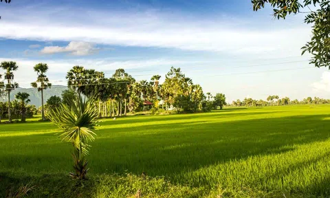 Khai thác và quản lý giá trị di sản thích ứng trong xu hướng phát triển du lịch mới