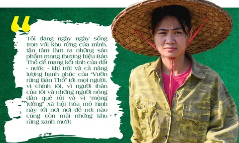 Trở về quê hương lập nghiệp