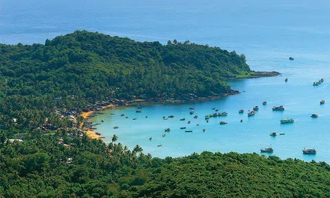 Hàn Quốc nỗ lực với chương trình phát triển xanh