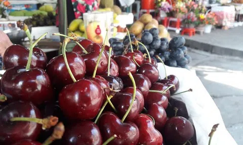 Cảnh giác với những thùng Cherry Mỹ giá rẻ bán tràn lan