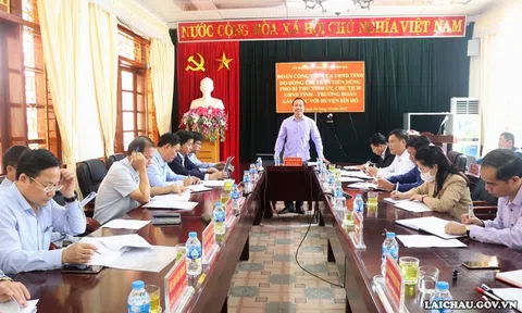 Lai Châu: Huyện Sìn Hồ đẩy mạnh các mô hình liên kết, hướng đến mục tiêu trở thành vùng dược liệu lớn của tỉnh