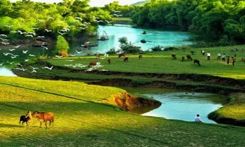 Ứng xử với môi trường tự nhiên là biểu hiện văn hóa của con người