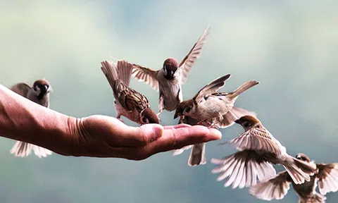 Đừng nói lời làm tổn thương người khác cũng là lương thiện