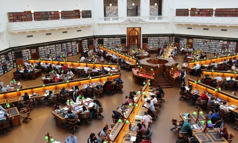 “Nhà cái” hay “tổ lái” chứng khoán “Pump & Dump”