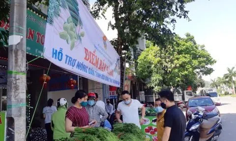 Hòa Bình: Đổi mới, nâng cao chất lượng hoạt động, hỗ trợ nông dân phát triển sản xuất, kinh doanh