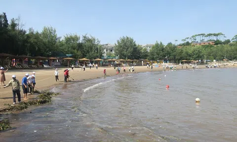 Khối thi đua các cơ quan quản lý kinh tế thành phố chung tay bảo vệ môi trường phát triển du lịch Đồ Sơn xanh