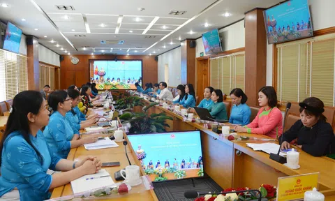 Lào Cai: Tham gia hội thảo trực tuyến, Thúc đẩy bình đẳng giới và phát huy vai trò của phụ nữ trong phát triển kinh tế - xã hội