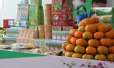 Sơn La: Phát triển các doanh nghiệp, hợp tác xã nông nghiệp trồng, bảo quản, chế biến các sản phẩm