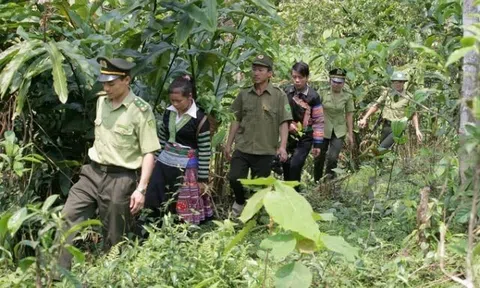 Chuyên nghiệp hóa các hoạt động truyền thông lâm nghiệp