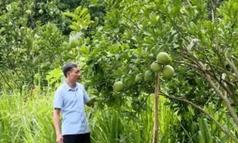 Hội viên nông dân xã Ninh Nhất (TP Ninh Bình) làm kinh tế giỏi từ mô hình tổng hợp