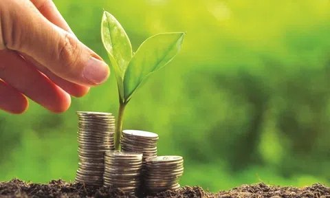 Chuyển hướng sang kinh tế xanh và tăng trưởng xanh xu thế tất yếu