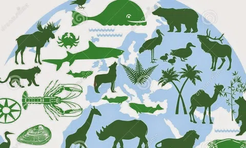 Nguyên nhân, biện pháp hạn chế suy giảm đa dạng sinh học