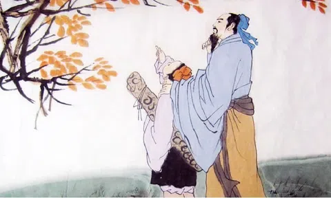 Bình tĩnh là thông minh, kiên trì là trí tuệ