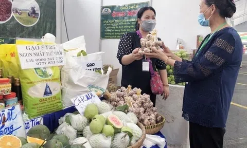 Khai mạc “Tuần hàng OCOP - Sản vật Việt Nam phát triển và hội nhập” tại Hà Nội