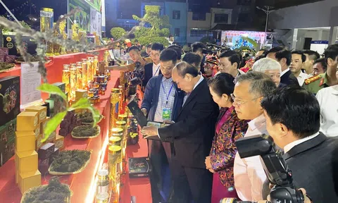 Trưng bày, giới thiệu, quảng bá sản phẩm Sâm Lai Châu