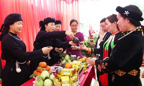 Bắc Kạn: Bạch Thông tổ chức sự kiện “Ngày hội cam, quýt và giới thiệu sản phẩm OCOP gắn với các hoạt động văn hóa, thể thao, du lịch”