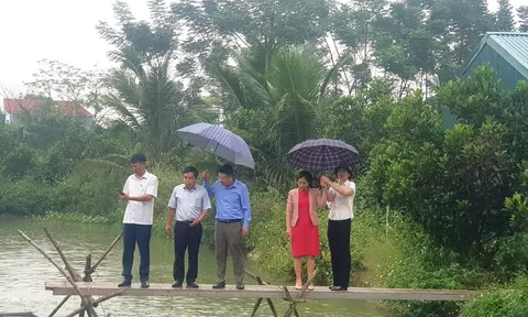 Hội đồng Khoa học Sở Nông nghiệp & PTNT Hà Nam kiểm tra, đánh giá và nghiệm thu các dự án thuộc lĩnh vực Chi cục Chăn nuôi & Thú y thực hiện năm 2022