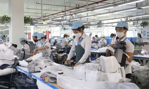 Thái Bình: Bứt phá hoàn thành các mục tiêu tăng trưởng kinh tế