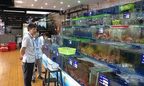 Thành phố Ninh Bình triển khai nhiều giải pháp nâng cao chất lượng nông lâm thủy sản, góp phần bảo vệ sức khỏe, và quyền lợi của người dân