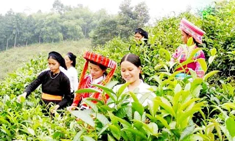 Dân vận khéo trong công tác giảm nghèo vùng dân tộc thiểu số