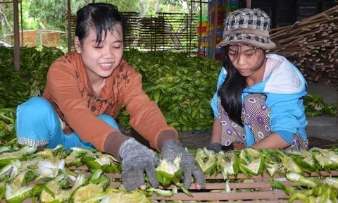 Thay đổi tập quán canh tác góp phần xây dựng nông thôn mới