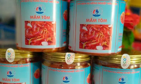 Nhân đôi lợi ích khi gắn chặt chương trình OCOP với du lịch cộng đồng