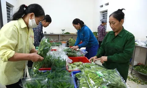 TP Vĩnh Yên: Nông dân thi đua sản xuất, kinh doanh giỏi