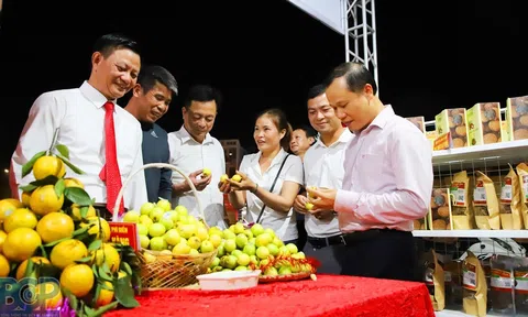 Khai mạc Chương trình du lịch “Về miền quả ngọt Lục Ngạn” năm 2022