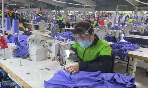 Thái Bình: 10 tháng đầu năm Khối doanh nghiệp sản xuất giá trị ước đạt trên 23.300 tỷ đồng