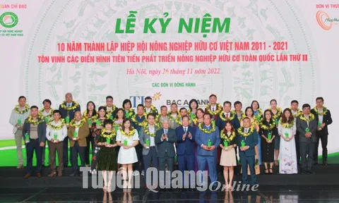 Tuyên Quang: 2 đơn vị được nhận cúp Bạc “Sản phẩm hữu cơ vì sức khỏe cộng đồng”