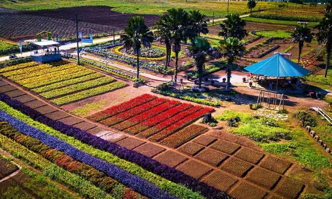Yên Bái: Chương trình du lịch “Về miền Đất Ngọc” diễn ra từ ngày 2/12