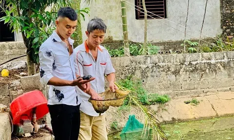 Hưng Yên: Triển vọng nghề nuôi thủy đặc sản