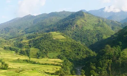 Lào Cai: Tăng cường bảo vệ rừng, phòng cháy, chữa cháy rừng mùa khô 2022 - 2023