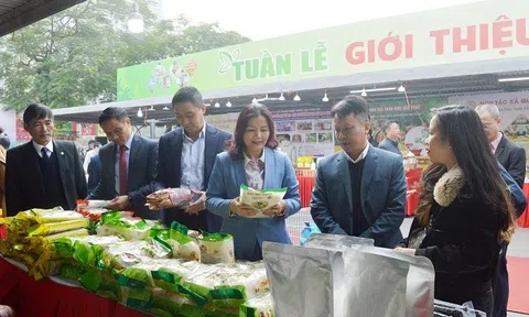 Khai mạc Tuần lễ giới thiệu sản phẩm nông sản, thuỷ sản tỉnh Yên Bái tại Hà Nội