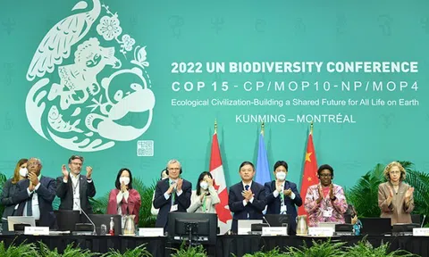 Thế giới đạt “thỏa thuận lịch sử” để bảo vệ thiên nhiên