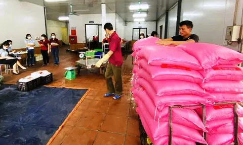 TP Cẩm Phả: Tăng cường kiểm tra bảo đảm vệ sinh an toàn thực phẩm