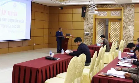 Quảng Ninh: Tập huấn quy trình bình chọn sản phẩm Công nghiệp nông thôn tiêu biểu