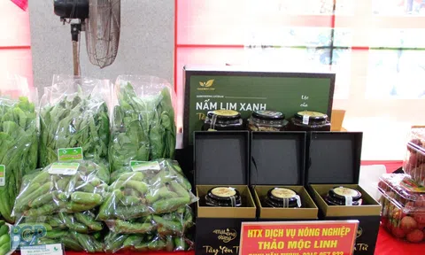 Bắc Giang: Huyện Sơn Động phấn đấu đến năm 2025 có thêm 10 sản phẩm OCOP được xếp hạng 3 sao, 4 sao