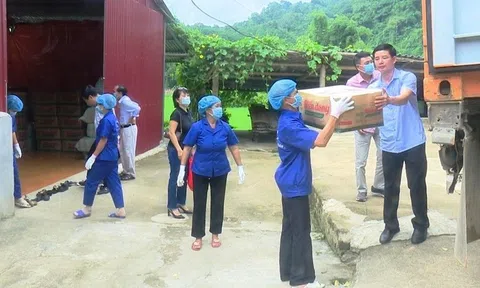 Xuất khẩu - Hướng đi đúng cho sản phẩm OCOP Bắc Kạn