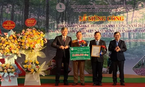 Công ty Cổ phần Cao su Điện Biên về đích trước kế hoạch 12 ngày