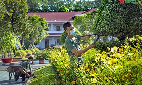 Ninh Bình: Có kế hoạch tổ chức các hoạt động nhân dịp Tết Dương lịch và chào đón năm mới 2023