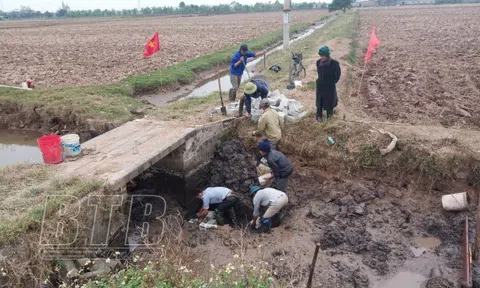 Thái Bình: Phát triển “hạt nhân” kinh tế nông thôn