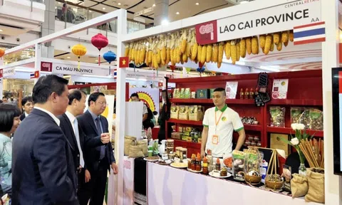 Lào Cai phấn đấu tổ chức khoảng 150 lượt kết nối, giao thương với các mạng phân phối nước ngoài