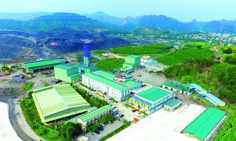 Ngành Than: Chiến lược bền vững: Chuyển từ "nâu" sang "xanh"